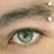 :iconboshek: