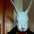 :iconbosoebundy: