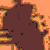 :iconbossa-nova: