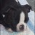 :iconboston4therun: