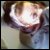 :iconbostonbaby: