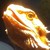 :iconbostonblue: