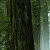 :iconbottle-it-up-inside: