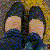 :iconBottomley:
