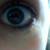 :iconbouboulelol:
