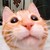 :iconboukenspirit: