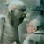 :iconbouldermonkey: