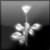 :iconbouledm: