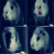 :iconboulgom: