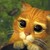:iconbouliedu83: