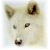 :iconbouncingball67: