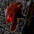:iconbountyhunteratuk: