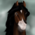 :iconbournetwynstables: