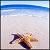 :iconbouyleigh93: