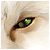 :iconbovec:
