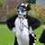 :iconbow-kori: