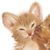 :iconbowlarn-lunla: