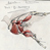 :iconbowplane: