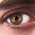 :iconbowsermiky: