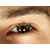 :iconbowtec: