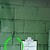 :iconbox-naoto:
