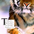 :iconboxingkitty57:
