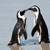 :iconboxmonster318: