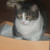 :iconboxofwin: