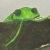 :iconboxworm: