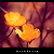 :iconboxx2genetica: