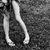 :iconboyswhoknit: