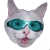 :iconBoyWithaWig:
