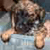 :iconbozopunx: