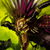:iconbr0k3nb0n3z: