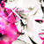 :iconbr0k3nrainb0w: