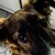 :iconbr1ngerofs0ul5: