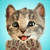 :iconbrabelfratze: