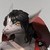 Brachiaraidos :iconbrachiaraidos: