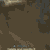 :iconbracing-wastxd-1: