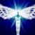 :iconbrackenfeather: