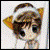 :iconbrackish13: