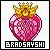 :iconbradsayshi: