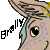 :iconbraily: