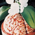 :iconbrainflowers: