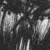 :iconBrainforge: