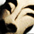 :iconbrainskip: