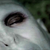 :iconbrainstorm1001: