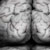 :iconbrainy-brian26: