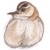:iconbrajack: