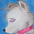 :iconbrakublaze: